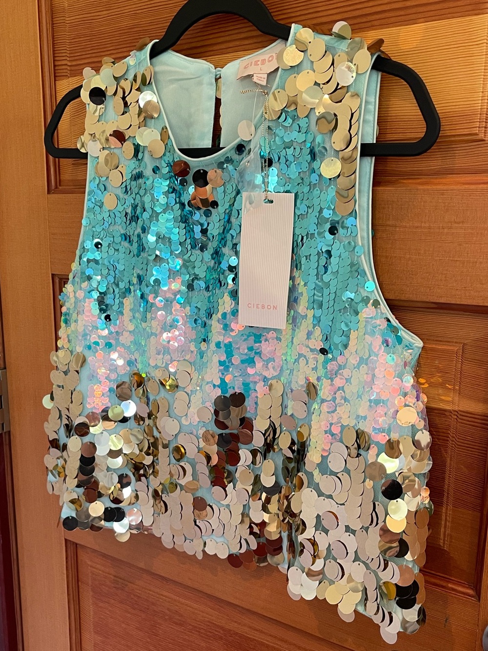 CLOSET CLOSEOUT SALE - Ciebon Sleeveless Ombre Mermaid Sequin Top - NWT